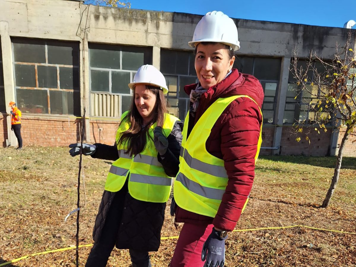 Două colege GIS, cu căști de protecție, la o acțiune de plantare pe un amplasament industrial
